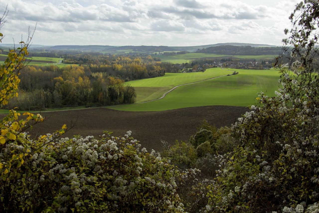 Le Lodge des Bruyères Mont-Notre-Dame Extérieur photo